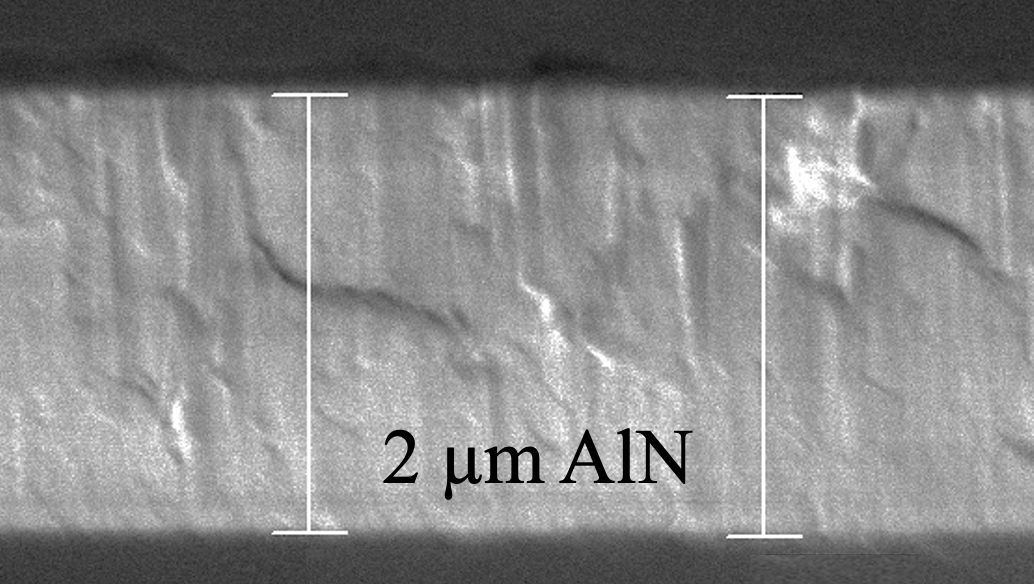Crossectional SEM